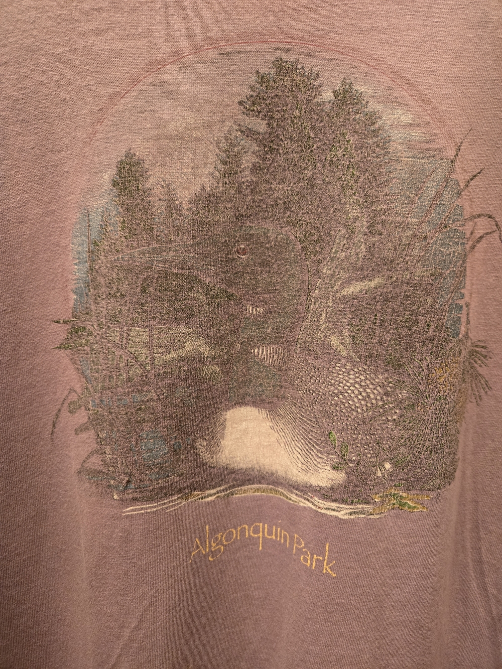 Vintage Distressed Algonquin Park Tee Faded Grunge Nature Shirt Oversized L - Picture 3 of 11